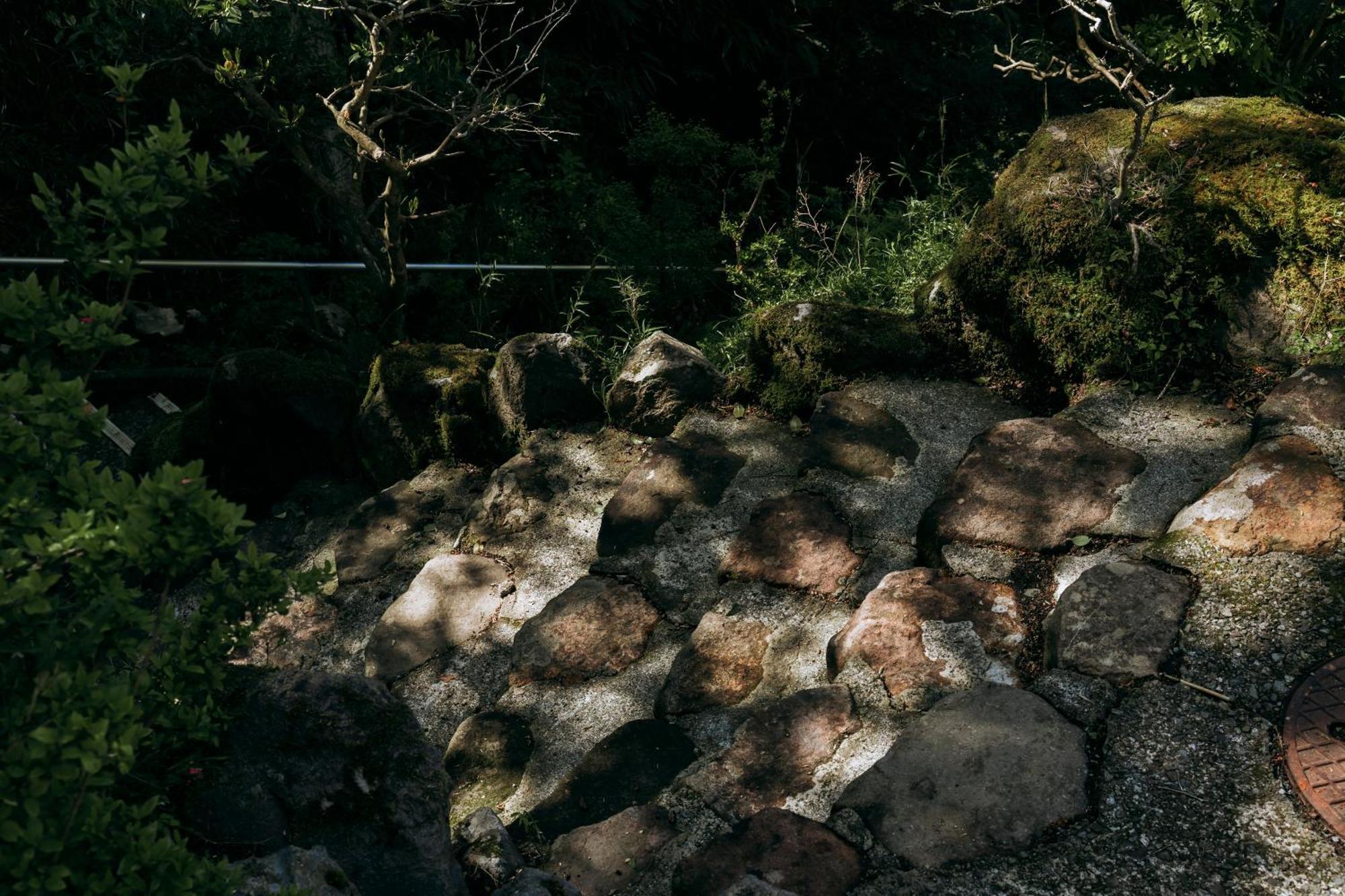 Villa Aknot Hakone 大涌谷を望むモダニズム建築 東京から90分 Exterior foto